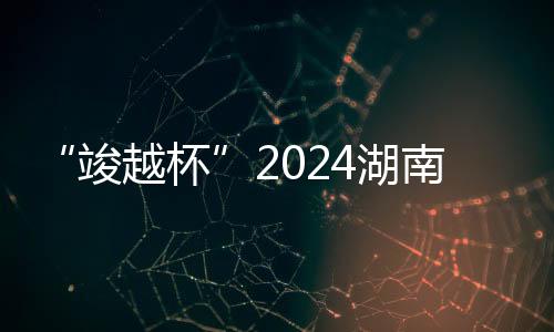 “竣越杯”2024湖南省青少年超级联赛(U17组)顺利闭幕