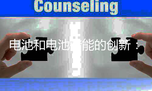 电池和电池储能的创新:基于专利数据的全球分析