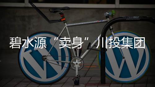 碧水源“卖身”川投集团,新增长难救老危机