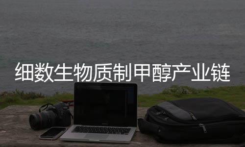 细数生物质制甲醇产业链:有哪些关键企业?