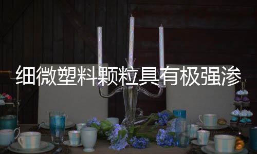细微塑料颗粒具有极强渗透性,微塑料污染已波及人类胎盘