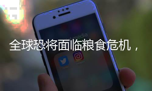 全球恐将面临粮食危机,中粮工科未来竞争力如何?