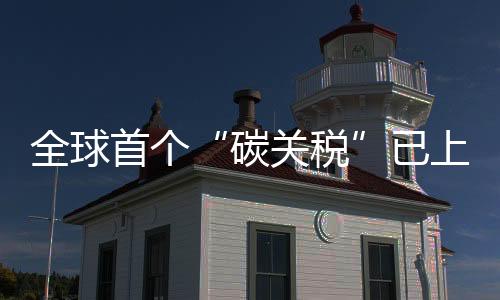 全球首个“碳关税”已上线,哪些企业影响最大?