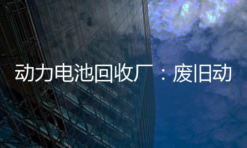 动力电池回收厂:废旧动力电池不能拍卖了事