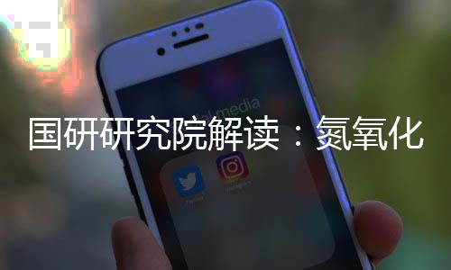 国研研究院解读:氮氧化物(NOx)在线监测