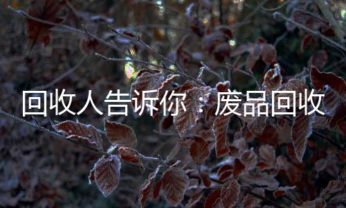 回收人告诉你:废品回收就是植树造林