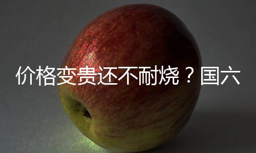 价格变贵还不耐烧?国六汽油比国六先来啦!