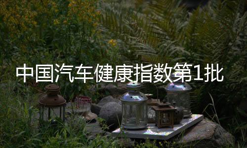 中国汽车健康指数第1批推荐车型出炉,凯迪拉克XT4领衔
