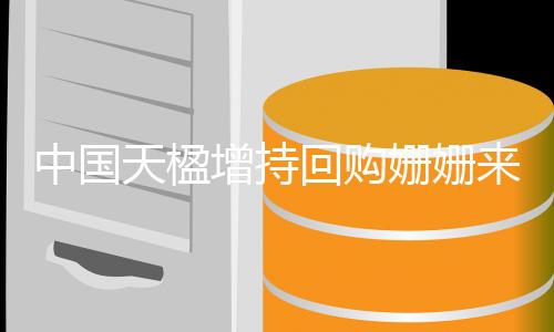 中国天楹增持回购姗姗来迟:大股东有信心 小股民没信心