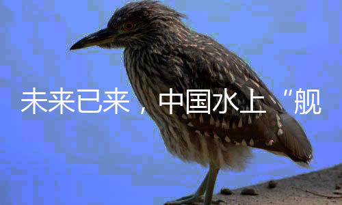 未来已来,中国水上“舰队”正远航