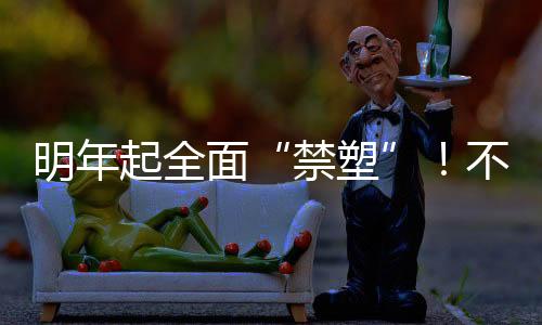 明年起全面“禁塑”!不用塑料袋,你能有几种解决方案?