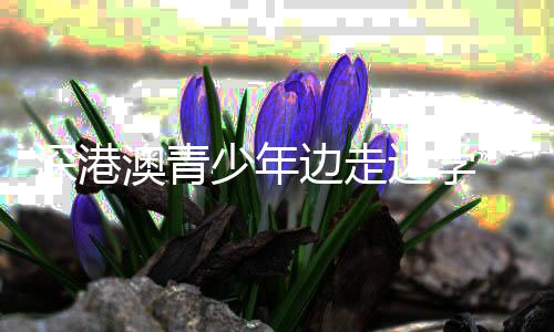深港澳青少年边走边学 零距离感受缤纷龙岗多彩生活