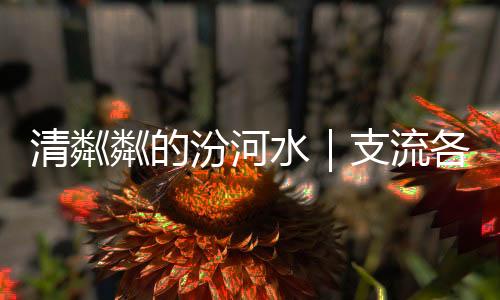 清粼粼的汾河水|支流各处好风光 碧波清流漾吕梁