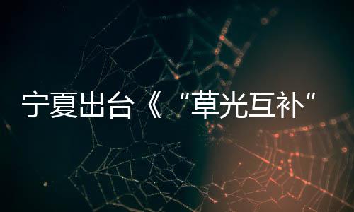 宁夏出台《“草光互补”“林光互补”光伏发电项目生态环境监督办法(试行)》