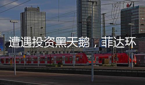 遭遇投资黑天鹅,菲达环保付出了多大代价?