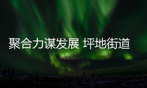聚合力谋发展 坪地街道新联会共绘坪地发展新蓝图!