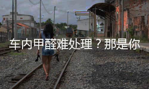 车内甲醛难处理?那是你还没遇到它—耐奥金车载净化器