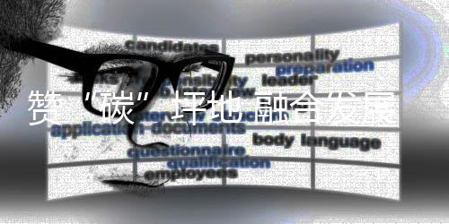 赞“碳”坪地 融合发展!深圳台商协会坪地联谊会与坪地新联会开展交流活动