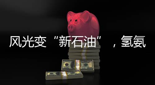 风光变“新石油”,氢氨醇一体化有多神奇