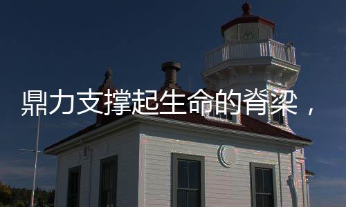 鼎力支撑起生命的脊梁,不求形式求本质