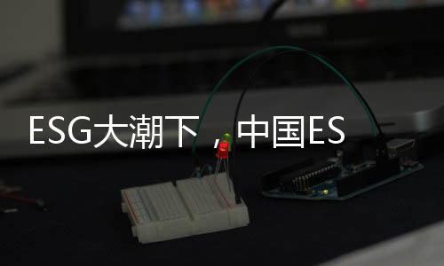 ESG大潮下,中国ESG评价体系走到哪一步了?