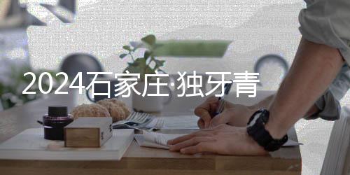 2024石家庄·独牙青少年中式九球联赛(鲲联赛)开幕